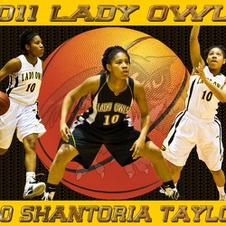 2011 Banners and Posters