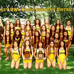 2015 Banners and Posters